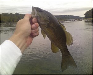 Click image for larger version

Name:	Eric - Largemouth 3 - Potomac.jpg
Views:	399
Size:	139.2 KB
ID:	4363