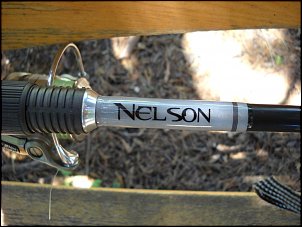 Click image for larger version

Name:	Nelson logo.JPG
Views:	533
Size:	85.3 KB
ID:	5096