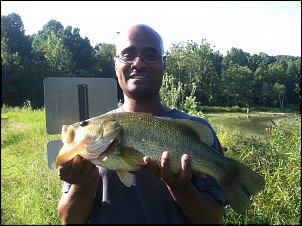 Click image for larger version

Name:	Fishing 001.jpg
Views:	416
Size:	534.8 KB
ID:	7136