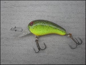 Click image for larger version

Name:	crankbait downsized.jpg
Views:	365
Size:	31.6 KB
ID:	6614