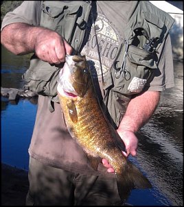 Click image for larger version

Name:	21inch smallmouth new bridge.jpg
Views:	303
Size:	60.3 KB
ID:	8150