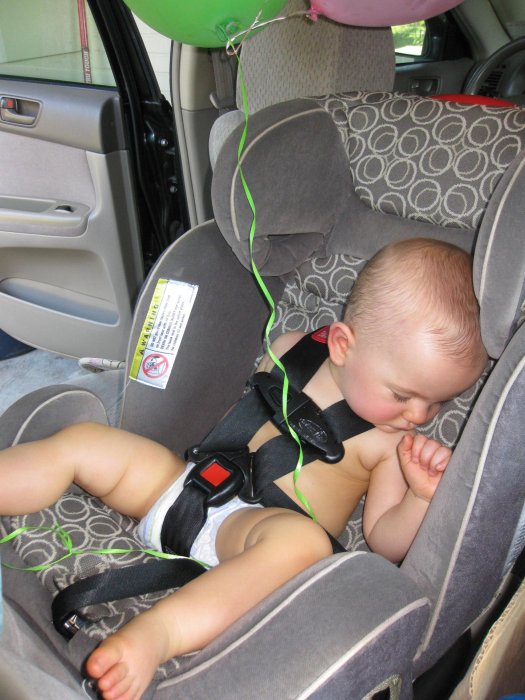 All tuckered out...it was a long day