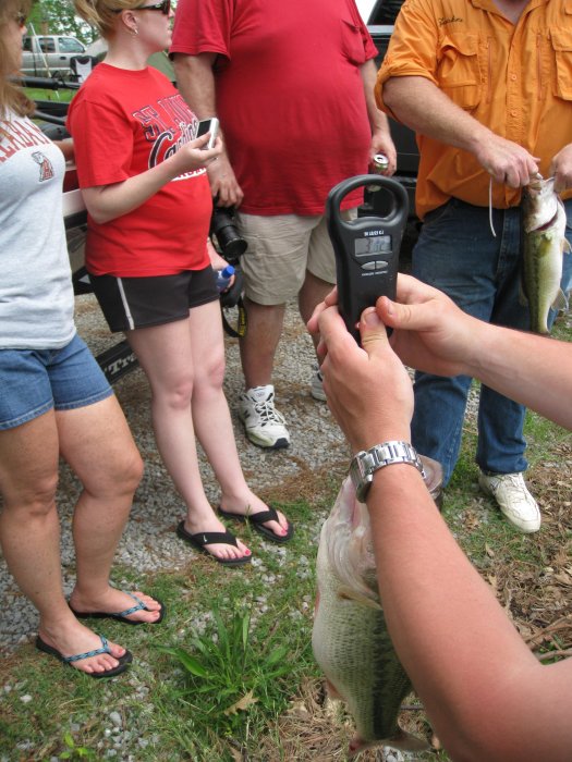 Louann's (MississippiGal's) contender for the Bait Monkey trophy, 3# 11 oz.