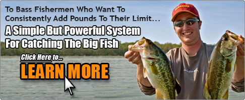 Big Bass Fishing Techniques and Tactics
