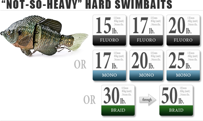 Not-So-Heavy Swimbaits Fishing Line